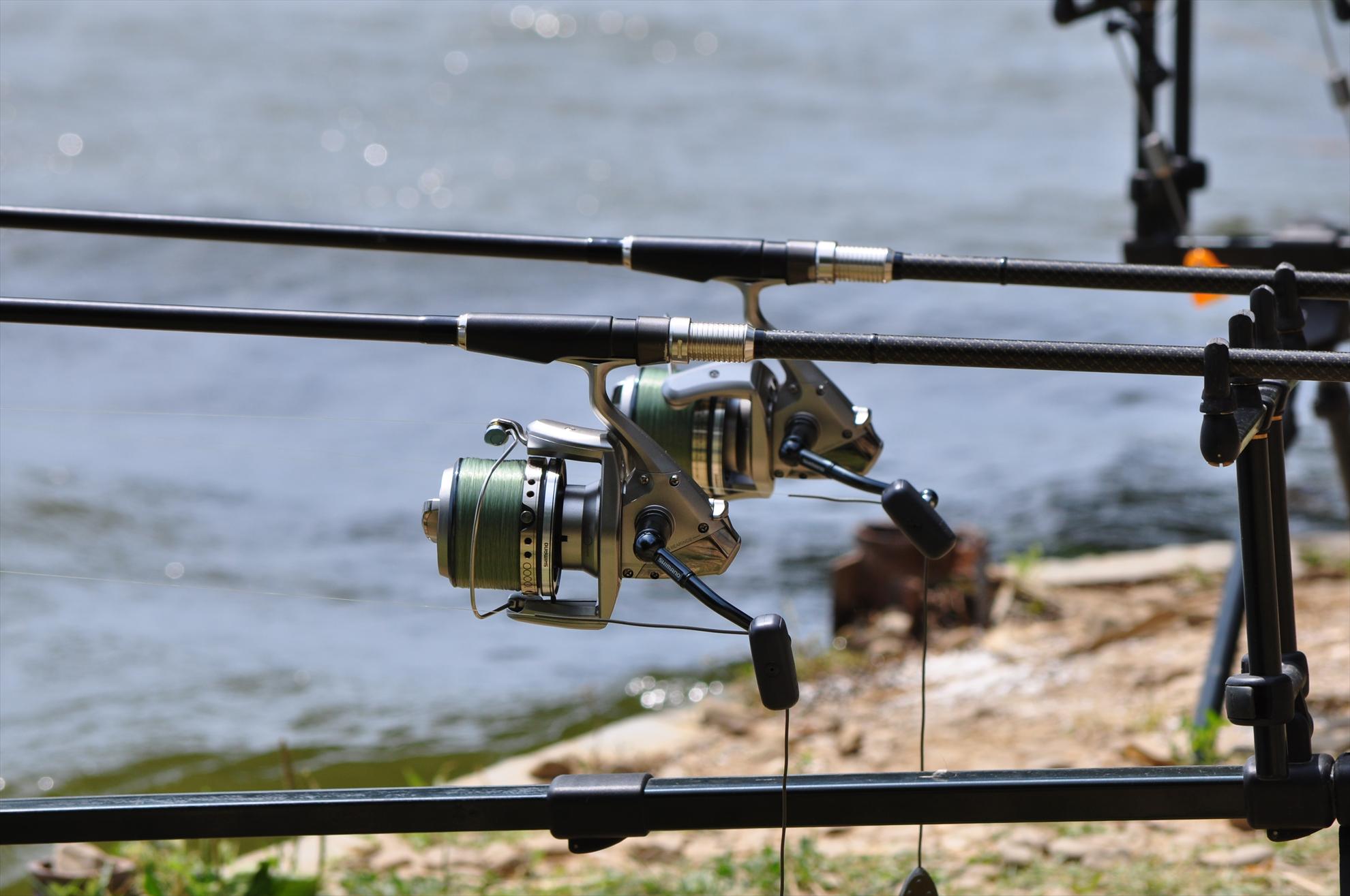 Tancabesti - dsc0065.JPG